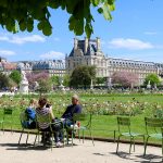 5 DICAS PARA VISITAR O JARDIN DES PLANTES